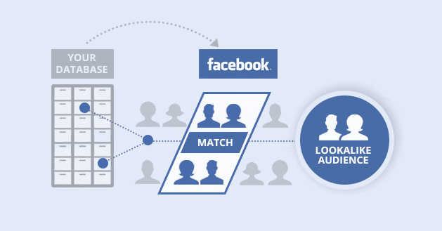 facebook custom audience case study